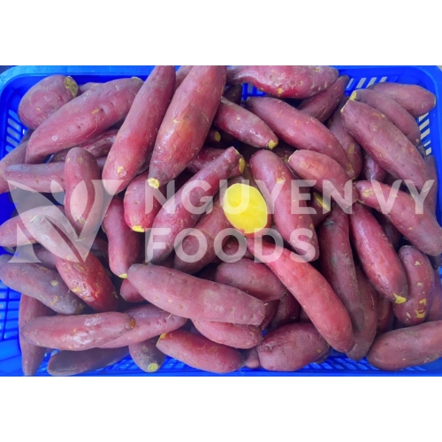 Khoai lang đông lạnh - Frozen Sweet Potato
